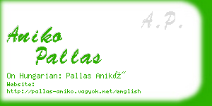 aniko pallas business card